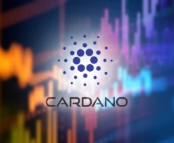 cardano wallet